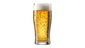 a glass of beer on a white background