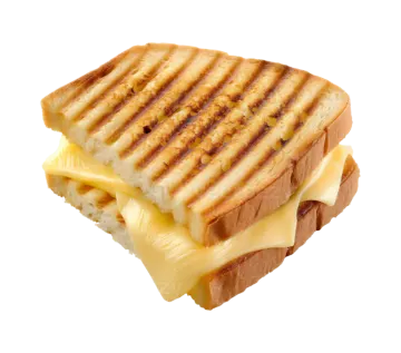 a close up of a grilled cheese sandwich