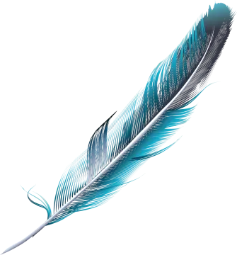 a blue feather on a white background