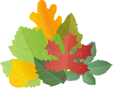 a bunch of colorful autumn leaves