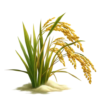 a bunch of yellow flowers on a white background