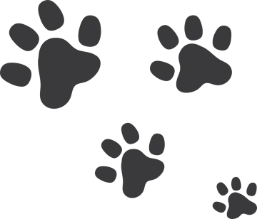 a set of four paw prints