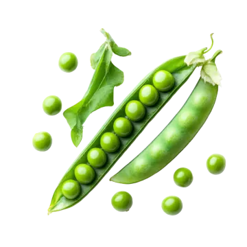 green peas on a white background