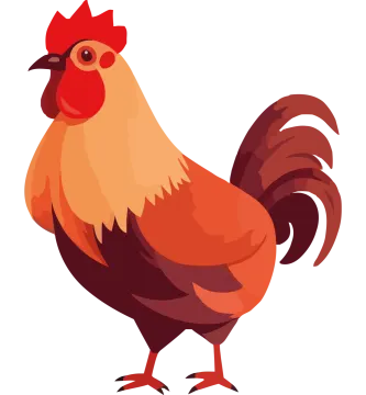 a chicken with a red comb on its head