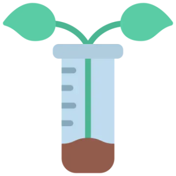 a plant in a test tube