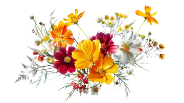 a bouquet of flowers on a white background