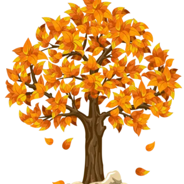 a tree with orange leaves on it