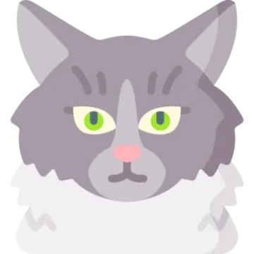 a gray cat with green eyes