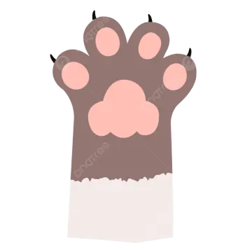 a brown bear paw on a white background