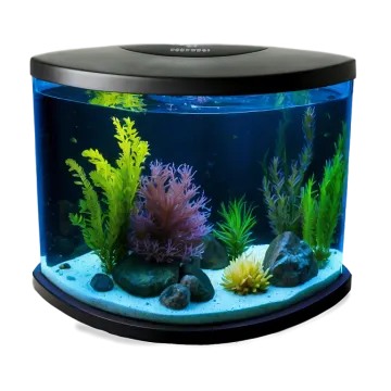 a fish tank filled with plants and rocks