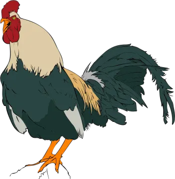 a rooster with a red head and yellow legs