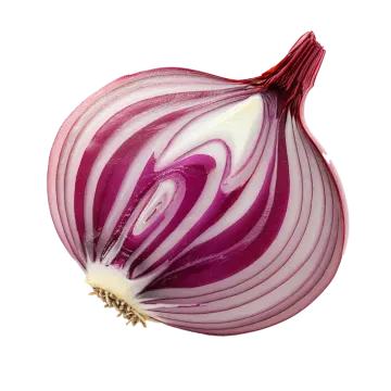 an onion cut in half on a white background
