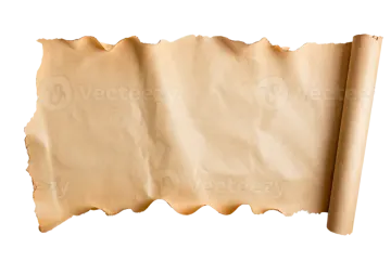 a piece of parchment paper on a white background
