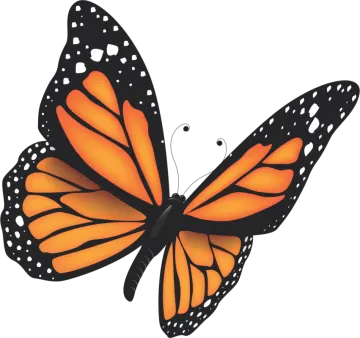 a monarch butterfly on a white background