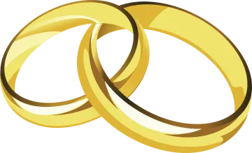 a pair of gold wedding rings