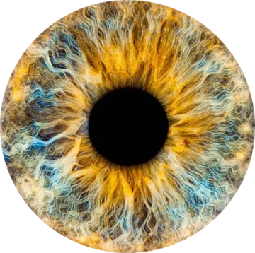 an image of a human eye