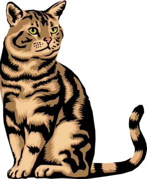 a brown and black cat sitting down