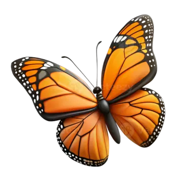a monarch butterfly on a white background