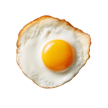 a fried egg on a piece of toasted bread