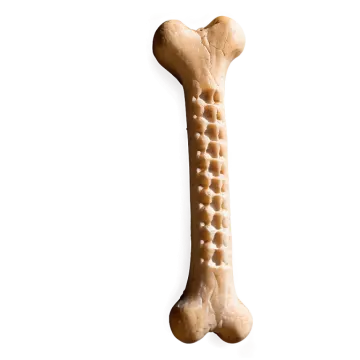 a dog bone on a white background