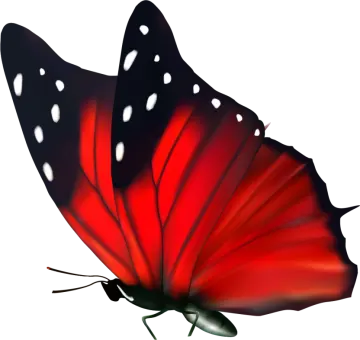 a red butterfly with white spots on its wings