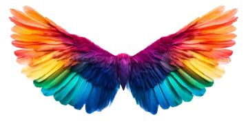 a colorful wing on a white background