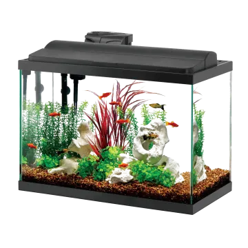 a fish tank filled with plants and rocks