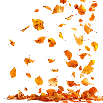 a bunch of yellow leaves flying in the air