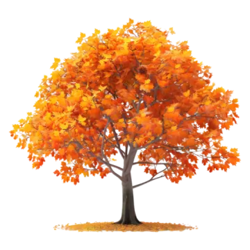 a tree with orange leaves on it