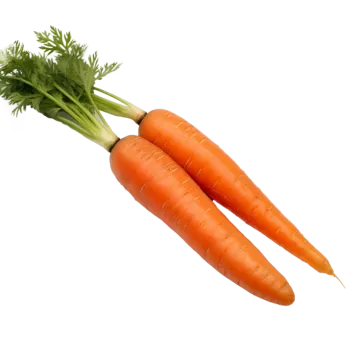 two carrots on a white background