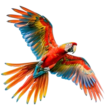 a parrot flying in the air with its wings spread