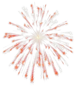 an orange and white firework on a white background