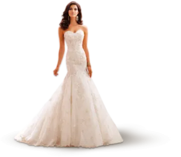 a woman in a wedding dress on a white background