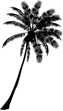 a black and white silhouette of a palm tree