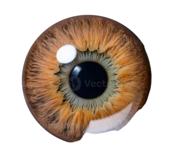 a close up of an eye with the pupil visible