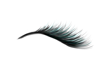 a close up of an eye with long eyelashes