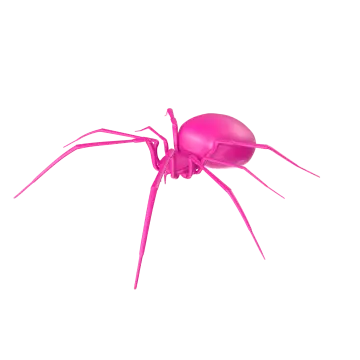 a pink spider on a white background