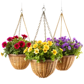 three hanging baskets filled with flowers