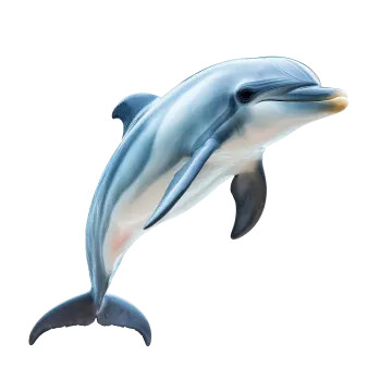 a dolphin jumping out of the water