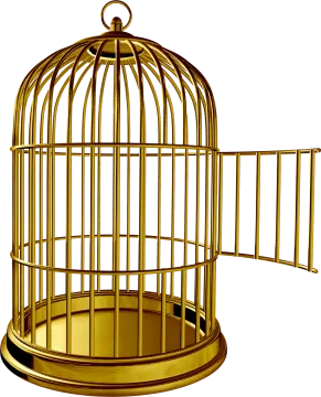 a bird in a cage on a white background