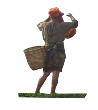 a woman carrying a basket in her hand