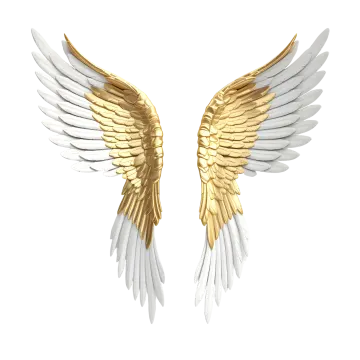 a pair of white and gold wings