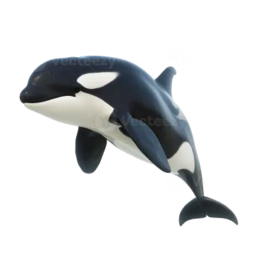 an orca jumping in the air