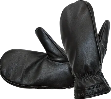 a pair of black leather gloves