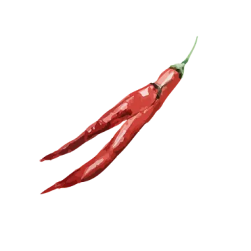 a red chili on a white background