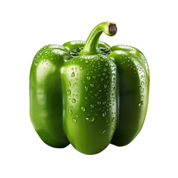 a green pepper with water droplets on it