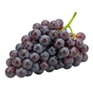 a bunch of grapes on a white background