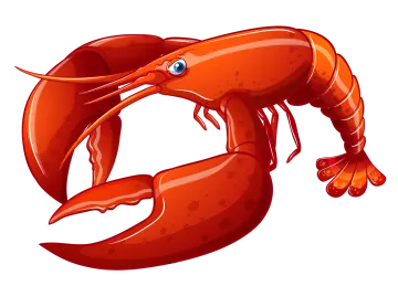 a red lobster on a white background