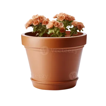 a flower pot with pink roses in it