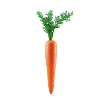 a carrot with leaves on top of it
